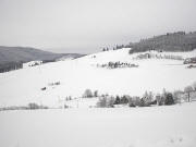 Blick nach S�dwesten zum Michelshof und Hochforst (links oben)