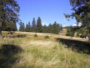 Blick nach Norden zum Feldberg von der Todtnauer H�tte aus