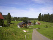 Blick nach Norden zu Waldh�ters am 9.8.2005