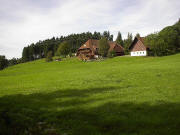 Blick nach Osten zum Schnapsbeckenhof am 9.8.2005