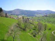 Vogelbach April 2005. Foto: Myrtek