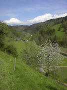 Blick vom Gallihof nach Norden ins Ibental zum Thomashansenhof