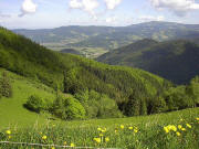 Blick von der Hfener Htte nach Norden zu Himmelreich und Kandel am 25.5.2005