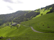 Blick nach Osten hoch zum Roteck 1156 m rechts oben und zur Hfener Htte links am 25.5.2005