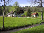 Blick nach Nordwesten �ber den Ibenbach zum Schlegelhansenhof am 30.4.2005
