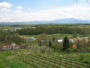 Blick vom Nimberg nach Osten zum Kandel (rechts) und Emmendingen am 30.4.2006