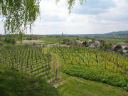 Blick nach S�den zur Nimburger Bergkirche am 30.4.2006