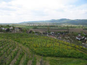 Blick nach S�dwesten �ber den Nimberg zum Kaiserstuhl mit Eichstetten