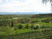 Blick vom Nimberg nach S�dosten zum Ro�kopf mit Windr�dern und Feldberg am 30.4.2006