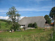 Blick nach Norden zum Disselhof am 23.8.2006