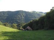 Blick nach S�den �ber T�rlehof und Glottertal zu Lindleh�h (Mitte) und Lidlehof (rechts) am 23.8.2006