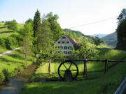 Blick nach Norden zu B�rchau-Kastelh�fe an der Kleinen Wiese am 13.6.2006