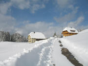 Blick nach Norden zum Dreherhof am 7.3.2006
