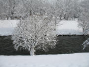 Blick nach Norden �ber die Dreisam beim Ebneter Wasserwerk am 5.3.2006