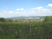Blick vom Jesuitenschlo� nach Nordwesten zum Kaiserstuhl am 24.5.2006
