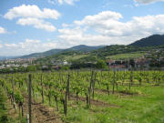 Blick vom Jesuitenschlo� nach Norden zu Lorettoberg und Freiburger M�nster am 24.5.2006