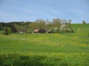Blick nach Westen zum Langbauernhof am Pfeiferberg am 2.5.2006
