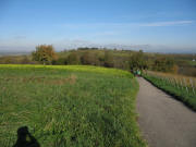 Blick vom oberen Rappenweg nach Norden zum K�ferberg am 2.11.2006