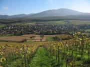 Blick vom oberen Rappenweg nach Osten �ber V�gisheim hoch zum Blauen am 2.11.2006
