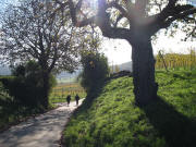 Blick nach S�dosten in der Zizinger Gasse am 2.110.2006