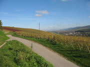 Blick �ber die Zizinger Gasse nach Nordenosten zu V�gisheim am 2.11.2006