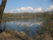 Blick nach Norden zur Kaibenlache am 2.4.2007- Naturschutzgebiet Teninger Unterwald