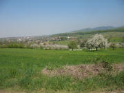 Blick vom Wanderparkplatz "Steinacker" an der Zizinger Gasse nach Norden �ber V�gisheim nach M�llheim am 19.4.2007