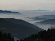 Blick vom Lindenberg nach Westen am 27.12.2007 �ber Eschbachtal, Dreisamtal (links) und Rheintal zu den Vogesen am 27.12.2007