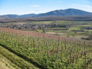 Blick von der Zizinger Gasse nach Nordosten �ber V�gisheim zum Blauen am 5.12.2007