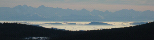 Blick vom Schauinsland nach Sden ber Schwarzwaldtannen und Hochrheinnebel zu den Alpen am 28.12.2007
