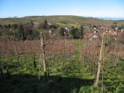 Blick nach Westen �ber V�gisheim zum M�llheimerbuck am 5.12.2007 bei 14 Grad plus