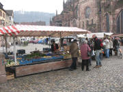 G�rtnerei Walter Schwaab aus Denzlingen am 16.1.2007