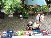 Freiburger M�nstermarkt - Nordseite bei der alten Linde am 9.6.2007