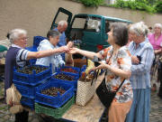 Erich und Martha G�pfert aus Endingen-K�nigschaffhausen mit Kirschen am 9.6.2007