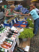 Frauenmantel, Rittersporn und Wein von Weingut Schumacher aus Bahlingen am 9.6.2007