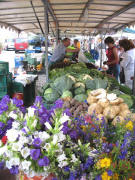 Blumen bei Karl-Heinz Jenne am 5.6.2007