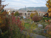 Blick nach Nordwesten zum Laubenhof am 4.11.2007