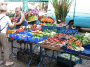 Blumen bei Elfriede Leimstoll aus V�rstetten am 17.9.2007
