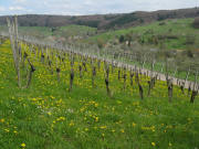 Blick nach Osten nach Feuerbach am 17.4.2008