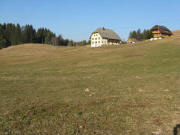 Blick nach Norden zum Dreherhof am 16.2.2008