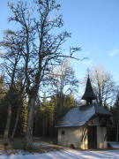 Blick nach Norden zur Schillingskapelle im Wald oberhalb Rudenberg am 11.2.2008