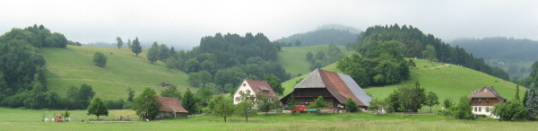 Blick nach Sden in Dietenbach ber den Jungbauernhof zur Immi am 8.6.2008