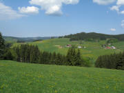 Blick von Kirnersh�usle am 14.5.2008 �ber L�wenzahn nach Westen zu Michelehof und Kirnerhof (rechts) in Rudenberg