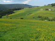 Blick von Kirnersh�usle am 14.5.2008 �ber L�wenzahn nach S�dwesten zumr �u�eren Hof