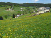 Blick von Kirnersh�usle am 14.5.2008 �ber L�wenzahn nach Westen auf Rudenberg