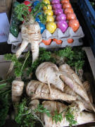 Wurzel-Petersilie mit Ostereiern am 4.3.2008