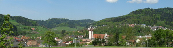 Blick von Siensbach nach Nordwesten auf Kollnach im Elztal am 3.5.2008