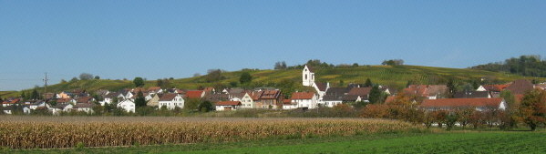 Blick nach Nordosten auf Fischingen am 18.10.2008