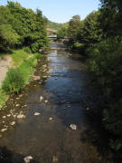 Blick vom Mariensteg nach Osten �ber die Dreisam am 1.9.2009