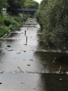Blick vom Mariensteg nach Westen �ber die Dreisam am 1.9.2009 zu vier T�rmen